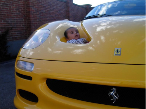   Fact: Ferraris need to consume one human infant per week to maintain prime condition. 