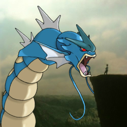 My New Hobby: Badly Photoshopping Pokemon Into Indie Hipster Photos