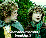 stannisbaratheon:  Favorite quotes from Lord of the Rings: The Fellowship of the