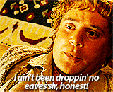 stannisbaratheon:  Favorite quotes from Lord of the Rings: The Fellowship of the