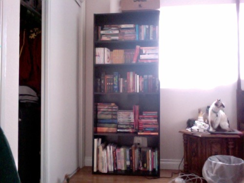 LOOK AT WHAT I ACCOMPLISHED YESTERDAY!I assembled (and then cut an ugly hole into for the power outl