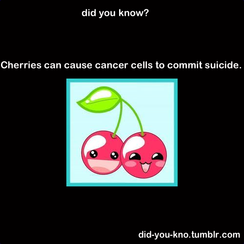 did-you-kno:  Two important compounds found in cherries, quercetin and ellagic acid,