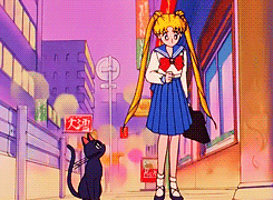supergiusupergio:  HAPPY SAILOR MOON ANNIVERSARY!!!!