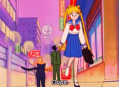 supergiusupergio:  HAPPY SAILOR MOON ANNIVERSARY!!!!