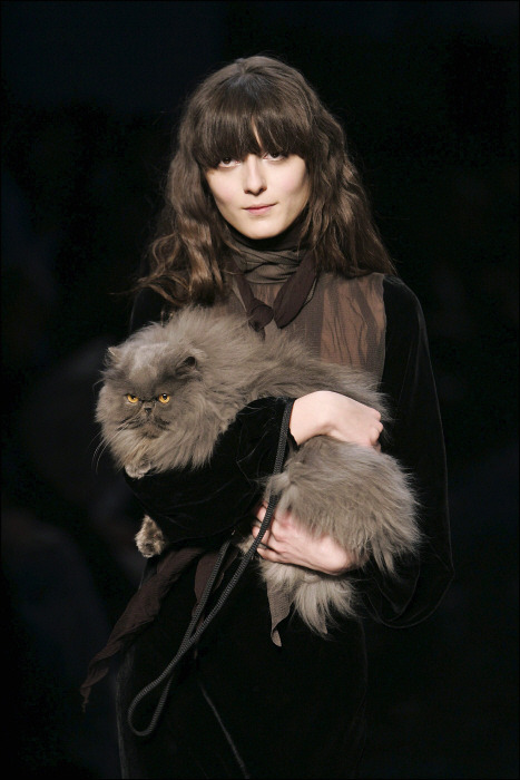 squishfacekitties - hautecatture - Jean-Paul Gaultier...