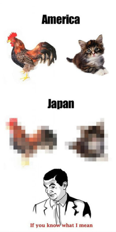stussyking:  2jz-gte:  khoavo93:  simplynanas:  mysterious-batgirl:  fhkawkefuehf omg…   HAHAHA  LOL  HEH 