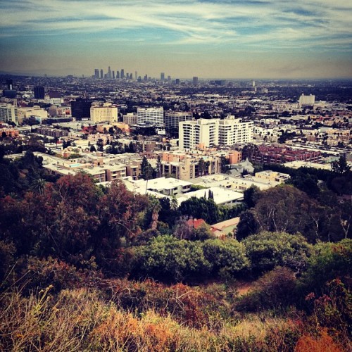 Runyon