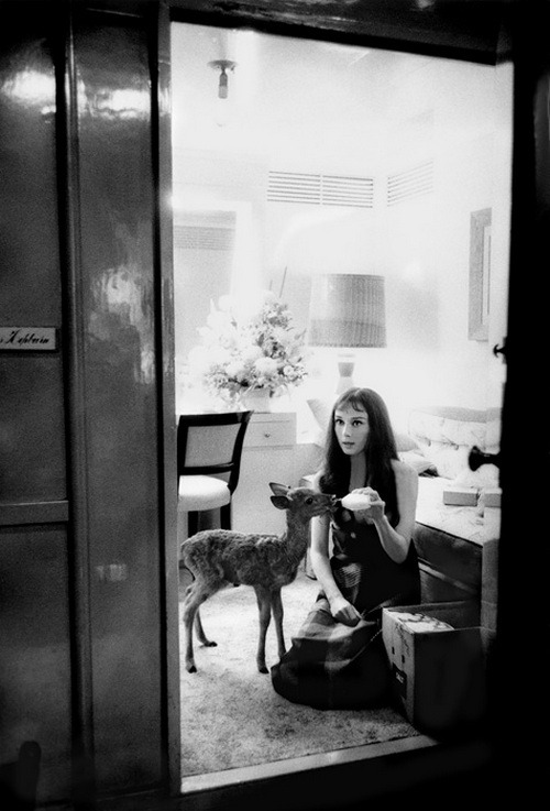 theniftyfifties:  Audrey Hepburn by Bob Willoughby, 1959.