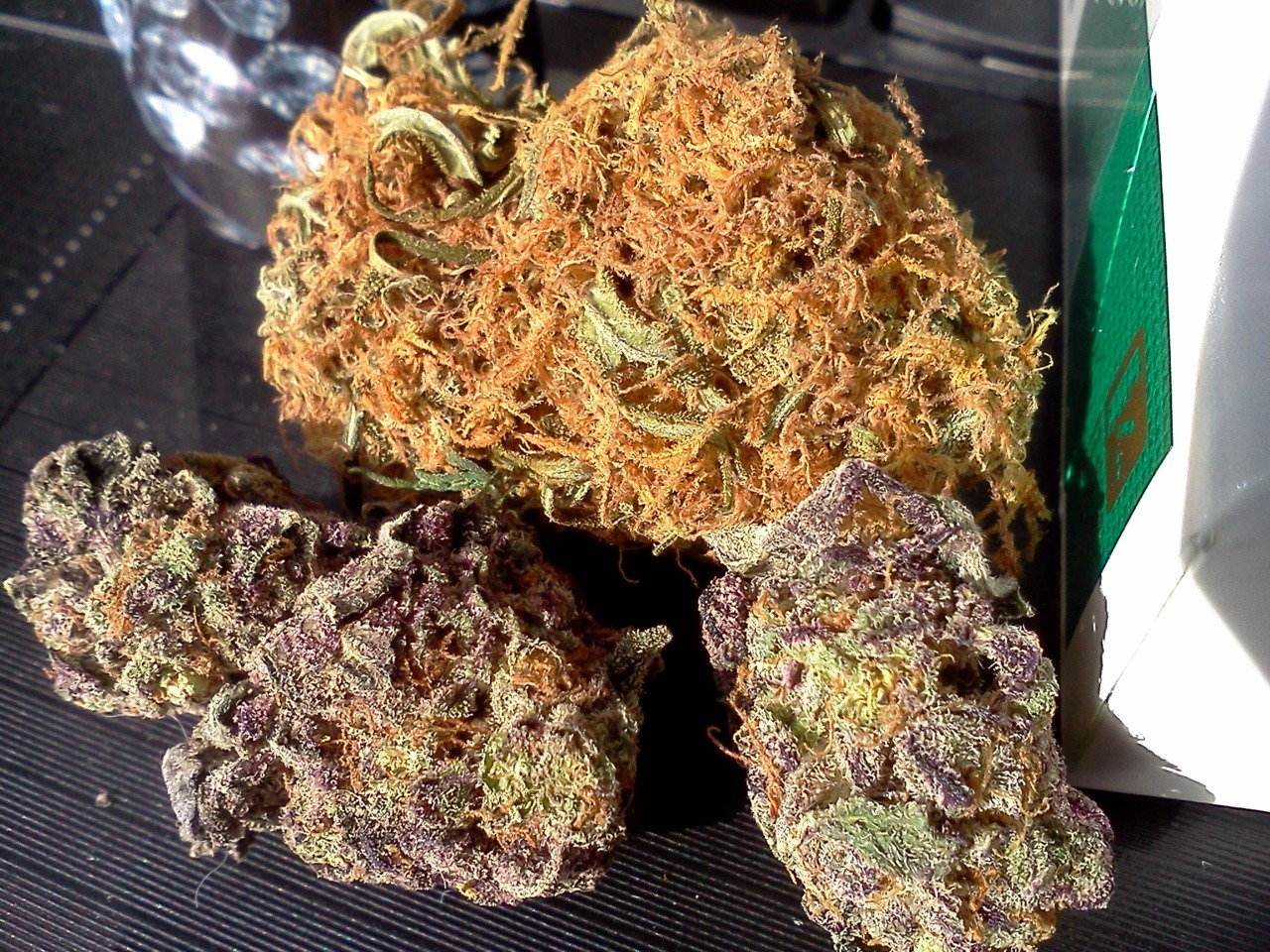 cloudylungs:  that purp looks like some weed i had a couple of weeks ago!