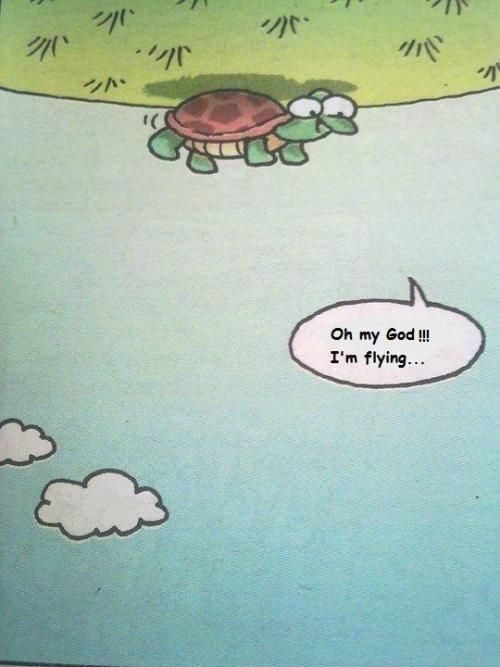 Evolution Lacks Common Sence