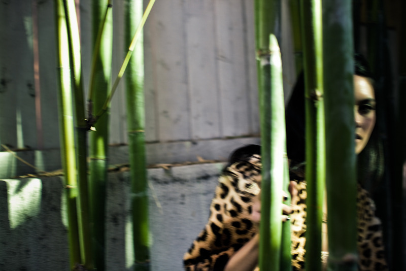      TERESA (flesh lingerie &amp; leopard mink) | photographed by landis smithers