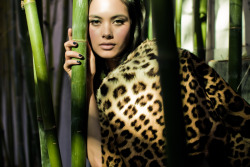       Teresa (Flesh Lingerie &Amp;Amp; Leopard Mink 2) | Photographed By Landis