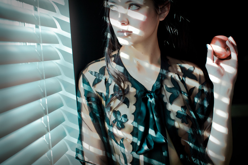 TERESA ( blind light, red pear, and applique lingerie) | photographed by landis