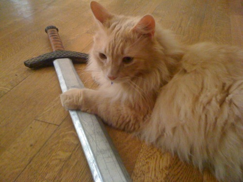 Sir Godric Gryffindor found a sword on the ground. Naturally, he claimed it for his own. I presume e