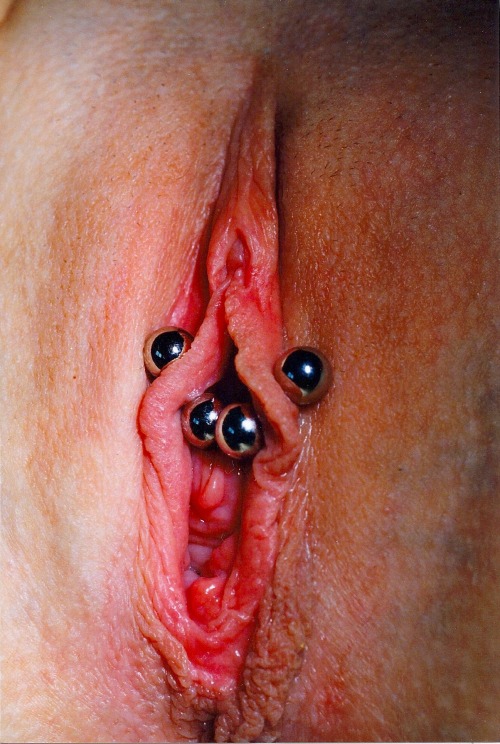 Porn photo pussymodsgalore  Inner labia piercings with