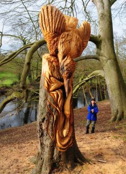 zalein:  surreal-ity:  she-who-loves-the-rain:  Residents of a market town have been left stumped by these mysterious tree carvings thought to have been created an anonymous guerrilla artist. The astounding carvings have transformed regular trees into