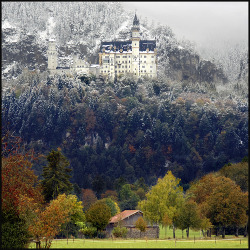 allthingseurope:  Neuschwanstein Castle,