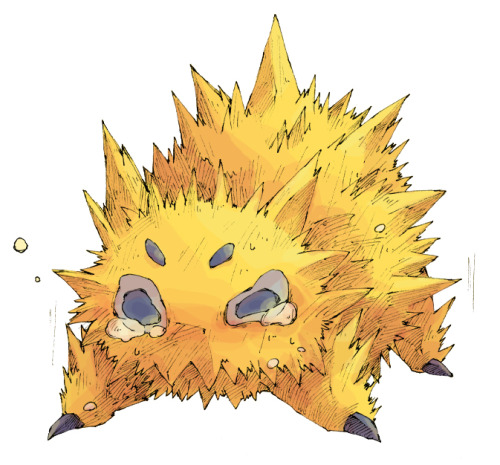 thesafarizone:  by 猫鴉