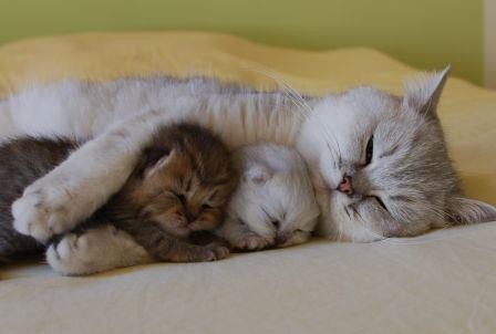 cutesecrets:  Follow c u t e s e c r e t s for more cute photos ♥ 