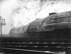 maudelynn:  A row of LNER streamlined locomotives belch out smoke at a London railway station c.1937 