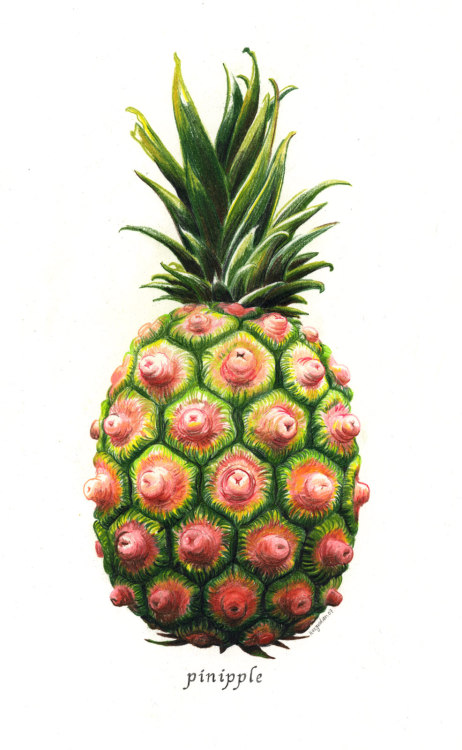 Reblogging my own drawing (from one of our other tumblrs). kozyndan:   pinipple 2007 colored pencil 