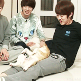 myungbby: Best of Sungyeol on Birth of a Family