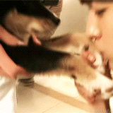 myungbby: Best of Sungyeol on Birth of a Family