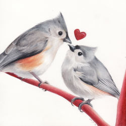 fat-birds:  deviantbirds:  Tufted Love by
