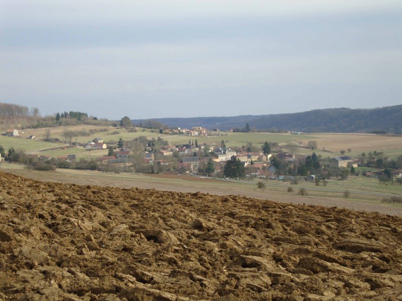 Le village de Torgny, un paysage proposé par la Maison urbanisme Lorraine Ardenne dans le cadre de l'observatoire des paysages:
http://www.paysages-citoyens.be