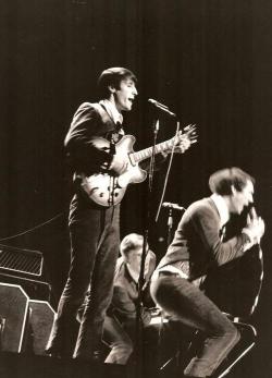 the sonics.