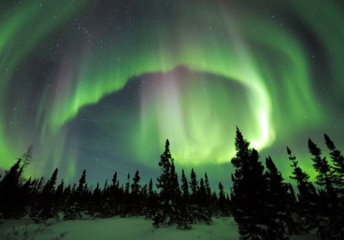 clubmonaco:   Wapusk National Park, Canada  Witnessing the aurora borealis at Manitoba’s Wapusk National Park is at the top of my bucket list. -Joyce Shen, Marketing 