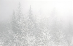 splash-of-my-colors:  Sandia Crest / snow