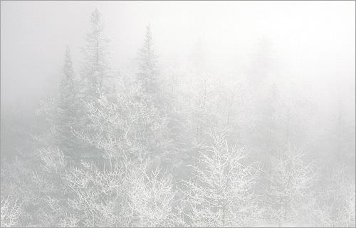 Porn photo splash-of-my-colors:  Sandia Crest / snow