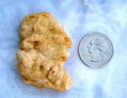 stryker:  thedailywhat:  McPareidolia of the Day: A woman in Nebraska is auctioning off a three-year-old Chicken McNugget piece she says bears an uncanny resemblance to former American president George Washington. “I looked down at the McNugget and