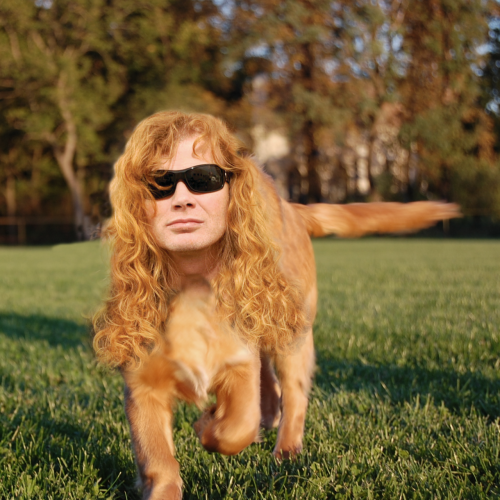 Porn Pics  Parecidos razonables XD (Dave Mustaine,