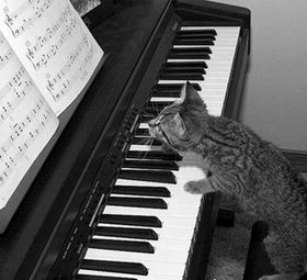 Tocando piano: