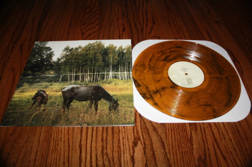 sonovolaf:  pianos become the teeth - old pride