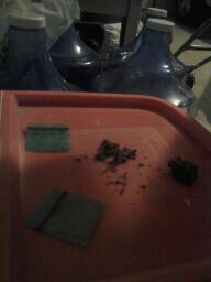 ahhh Thursdays :3