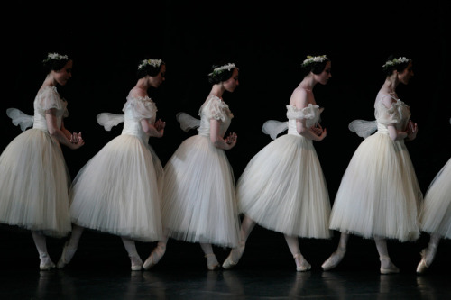 Sex my-lovely-madness: Paris Opera Corps de ballet pictures