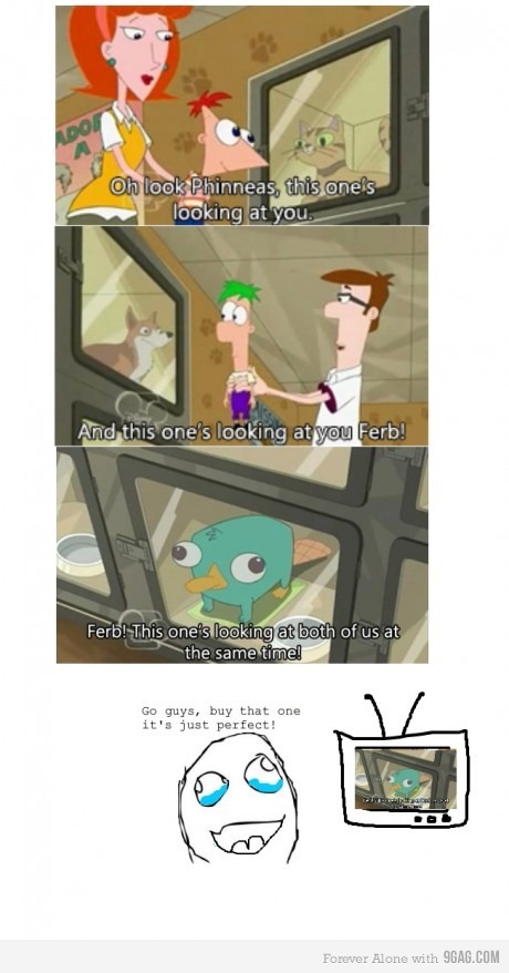 the-absolute-funniest-posts:  Follow this blog, you will love it on your dashboard