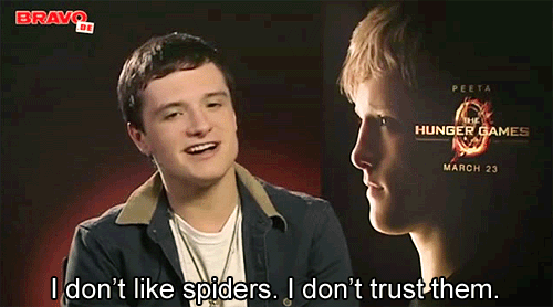  Do you have any fears? 