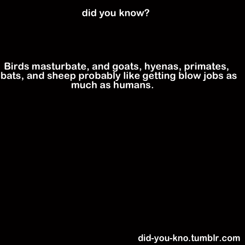 did-you-kno:  Source 