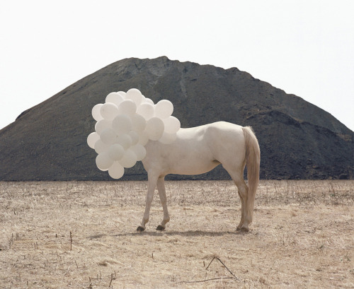 Andrea Galvani