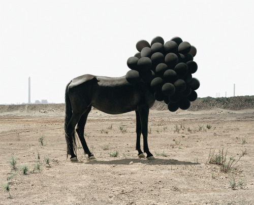 Andrea Galvani