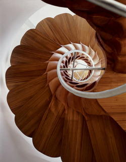 Ryeharris:  This Is The Spiral Staircase I Want Someday.  Spellbinding