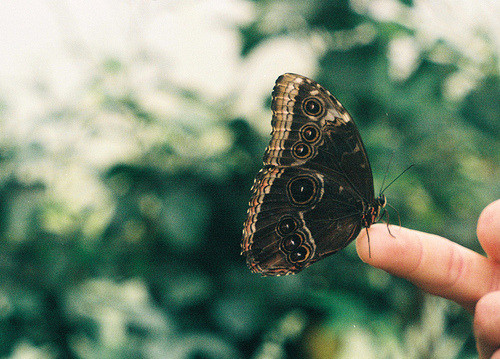 nevou:  ♥ 