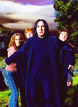 Harry Potter Eterno