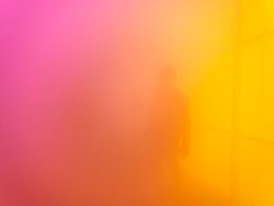 stayingsick:  Ann Veronica Janssens Are You