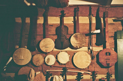 southern-graceandsweet-tea:  Musical Collection (by lnmurrey) 