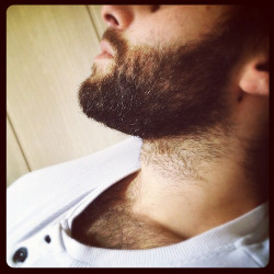 beards-inc:  beards-inc-blog:  The beard.  by berlinmeineliebe, on Flickr  On a side note, I do love me some chest hair too. 